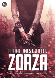 Obrazek Zorza