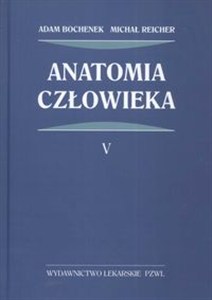 Obrazek Anatomia człowieka Tom 5