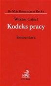 Kodeks pra... - Wiktor Cajsel -  Książka z wysyłką do Niemiec 