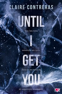 Bild von Until I Get You