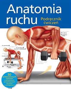 Bild von Anatomia ruchu Podręcznik ćwiczeń