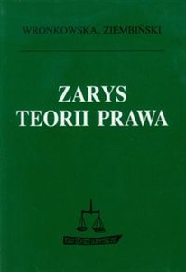 Obrazek Zarys teorii prawa