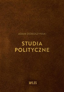 Obrazek Studia polityczne