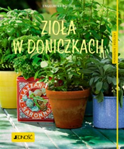 Bild von Zioła w doniczkach