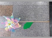 Wiatrak ne... -  fremdsprachige bücher polnisch 