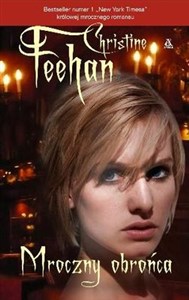 Obrazek Mroczny obrońca