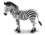 Polnische buch : Zebra