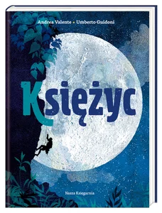Bild von Księżyc