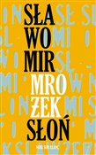Polnische buch : Słoń - Sławomir Mrożek
