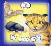 Polska książka : W nocy