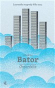Chmurdalia... - Joanna Bator -  fremdsprachige bücher polnisch 
