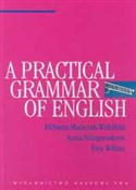 Polska książka : A Practica... - Elżbieta Mańczak-Wohlfeld, Anna Niżegorodcew, Ewa Willim