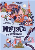 Polnische buch : Miejsca we... - Kamil Karpiński