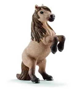 Bild von Mini Shetty ogier