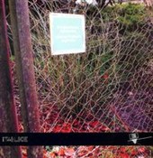 Polska książka : Pierzchają... - Bogusława Latawiec