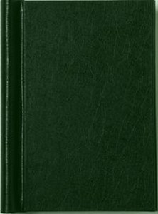 Obrazek Peka Springback binder zielony