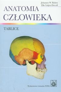 Obrazek Anatomia człowieka Tablice