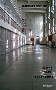 Bild von Za mną same zgliszcza