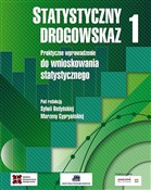Statystycz... - Sylwia Bedyńska - Ksiegarnia w niemczech