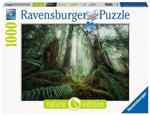 Bild von Puzzle 1000 Lasy