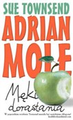 Adrian Mol... - Sue Townsend -  fremdsprachige bücher polnisch 