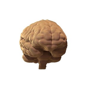 Bild von Cartonic Puzzle 3D Brain