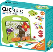 Polnische buch : Mozaika Zw...