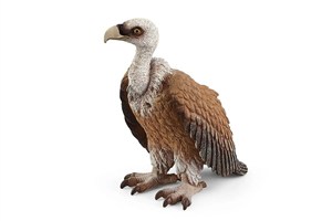 Obrazek Sęp SLH14847