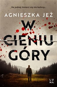 Obrazek W cieniu góry