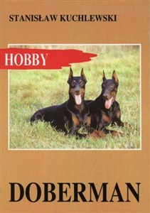Obrazek Doberman