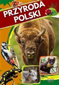 Książka : Przyroda P... - Opracowanie Zbiorowe