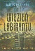 Więzień La... - James Dashner -  fremdsprachige bücher polnisch 