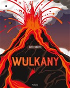 Polska książka : Wulkany - LuogoComune