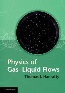 Obrazek Physics of Gas-Liquid Flows