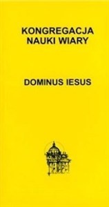 Bild von Dominus Iesus
