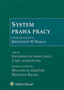 Obrazek System prawa pracy Tom 3 Indywidualne prawo pracy Część szczegółowa