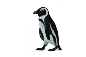 Obrazek Pingwin przylądkowy S
