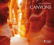 Polnische buch : Kaniony - ...