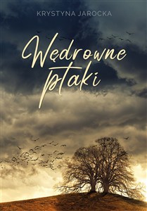 Bild von Wędrowne ptaki