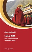 Polska książka : Stacja Zim... - Albert Jawłowski