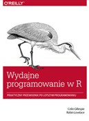 Wydajne pr... - Colin Gillespie, Robin Lovelace -  Polnische Buchandlung 