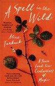 A Spell in... - Alice Tarbuck -  Książka z wysyłką do Niemiec 