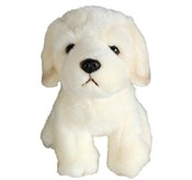 Polnische buch : Retriver 1...