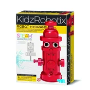 Polska książka : Kidzroboti...