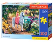 Puzzle Sec... - buch auf polnisch 