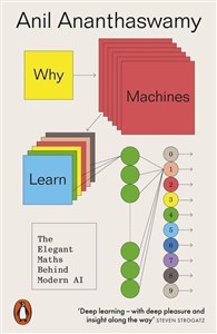 Bild von Why machines Learn wer. angielska
