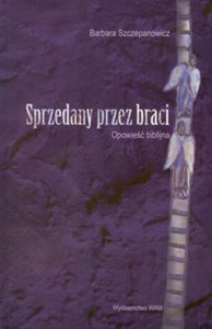 Obrazek Sprzedany przez braci Opowieść biblijna