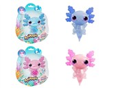 Książka : Animagic A...