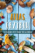 Atlas grzy... - Markus Fluck - Ksiegarnia w niemczech