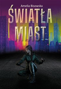 Bild von Światła miast